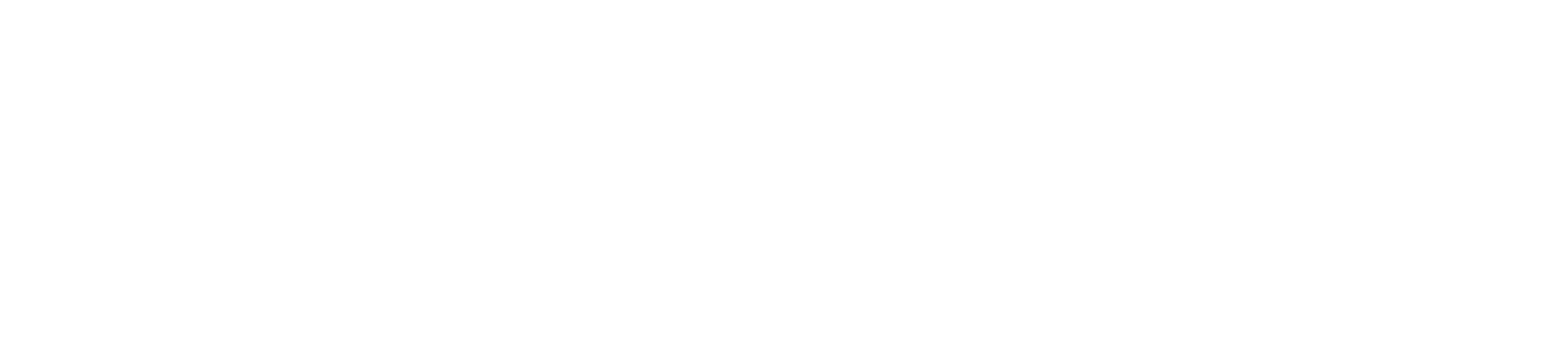 GEOGRID